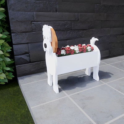 Cavachon Flower Pot