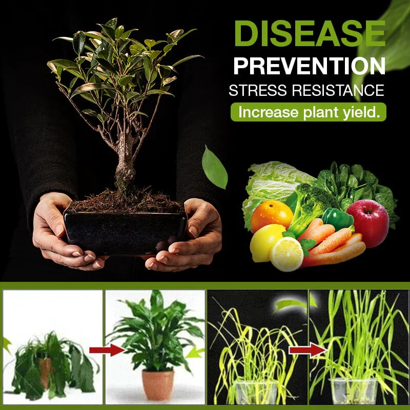 BodenKick™ Natürlicher Bodenfruchtbarkeits-Boost