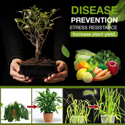 BodenKick™ Natürlicher Bodenfruchtbarkeits-Boost