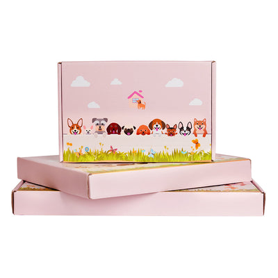 Exotische Kurzhaarkatze im Blumentopf