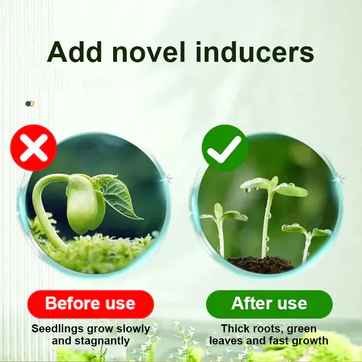 2+1 Gratis | PflanzenKraft™ Natürlicher Wachstumsboost